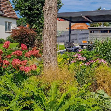 Villa Elefant Miedzyzdroje Exteriér fotografie